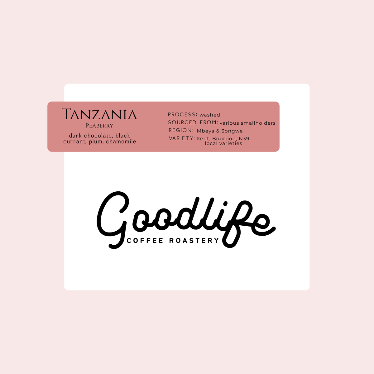 Tanzania Peaberry